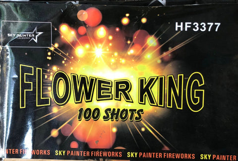 Baterie 100 focuri FLOWER KING Ski painter HF3377